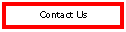Text Box: Contact Us